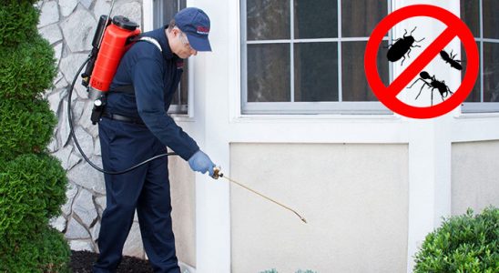 Kayseri Bit İlaçlama böcek ilaçlama ve haşere kontrolü — ilaclama-tr.com
